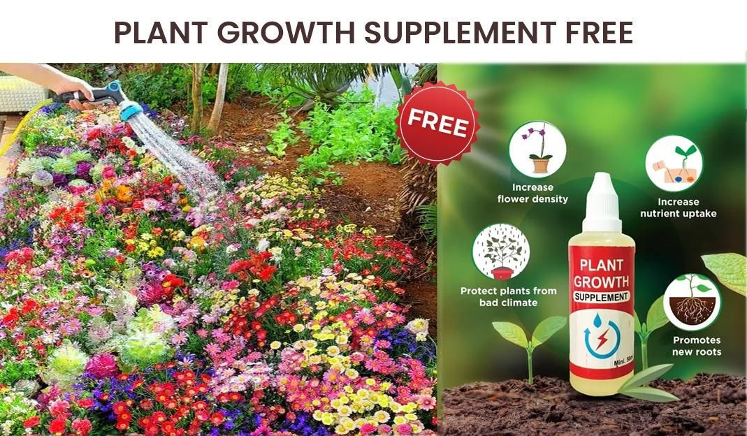 Buy Varieties of Flower Seeds (Pack of 100) And Get Plant Growth Supplement Free ihrux3-82