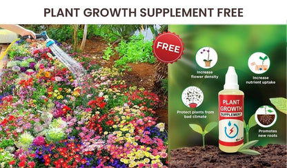 Buy Varieties of Flower Seeds (Pack of 100) And Get Plant Growth Supplement Free ihrux3-82