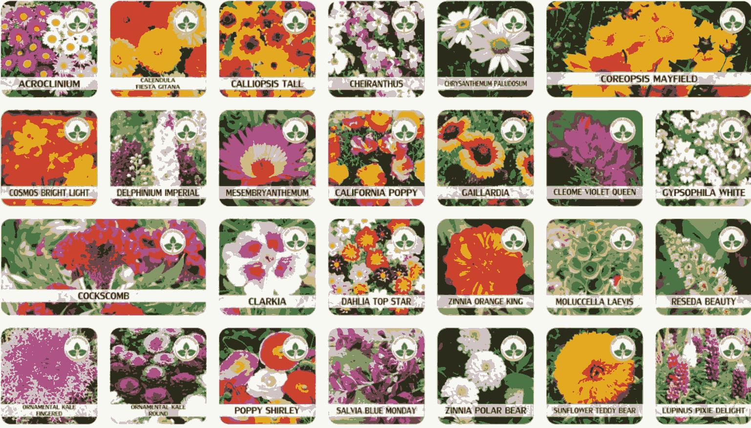 Buy Varieties of Flower Seeds (Pack of 100) And Get Plant Growth Supplement Free ihrux3-82